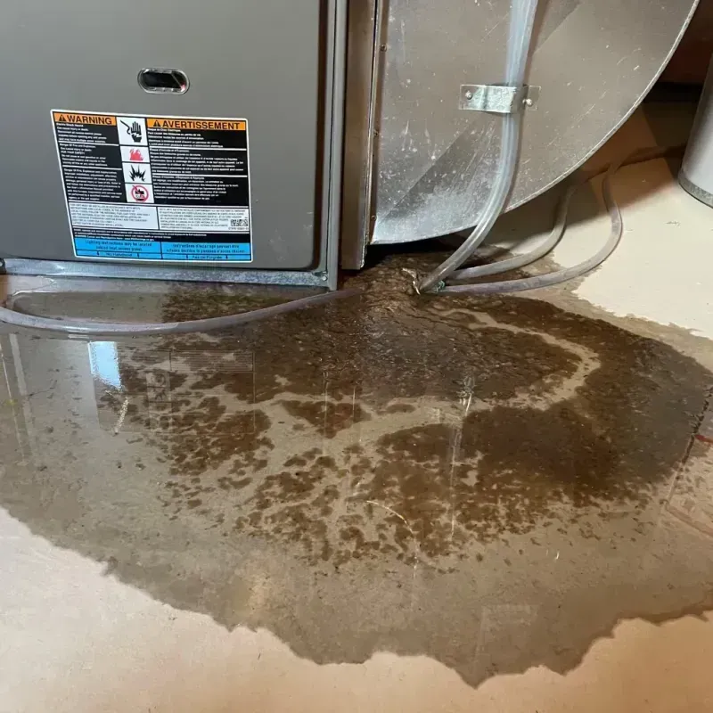 Appliance Leak Cleanup in North Browning, MT